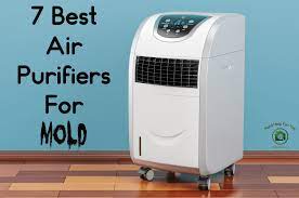 Can Air Purifiers Eliminate Mold From Indoor Spaces?