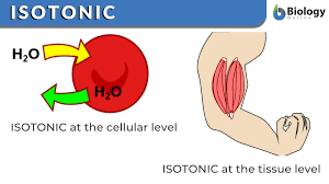 what is a isotonic solution
